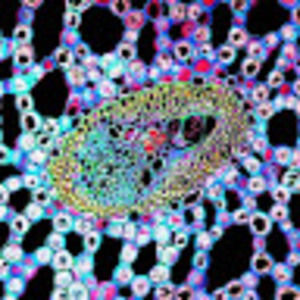 Meet your Posher, Jared